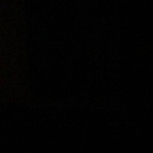 Meet your Posher, Silvia